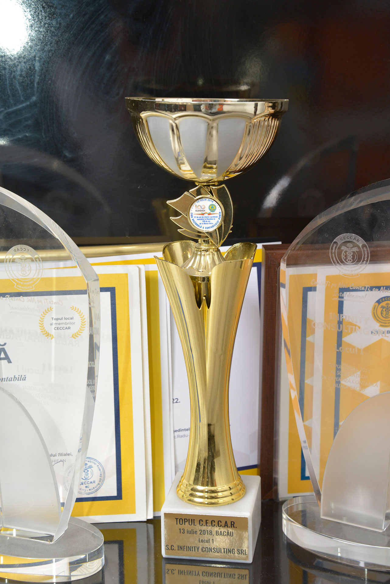 Ziua Nationala a contabilului roman